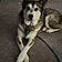 Ares