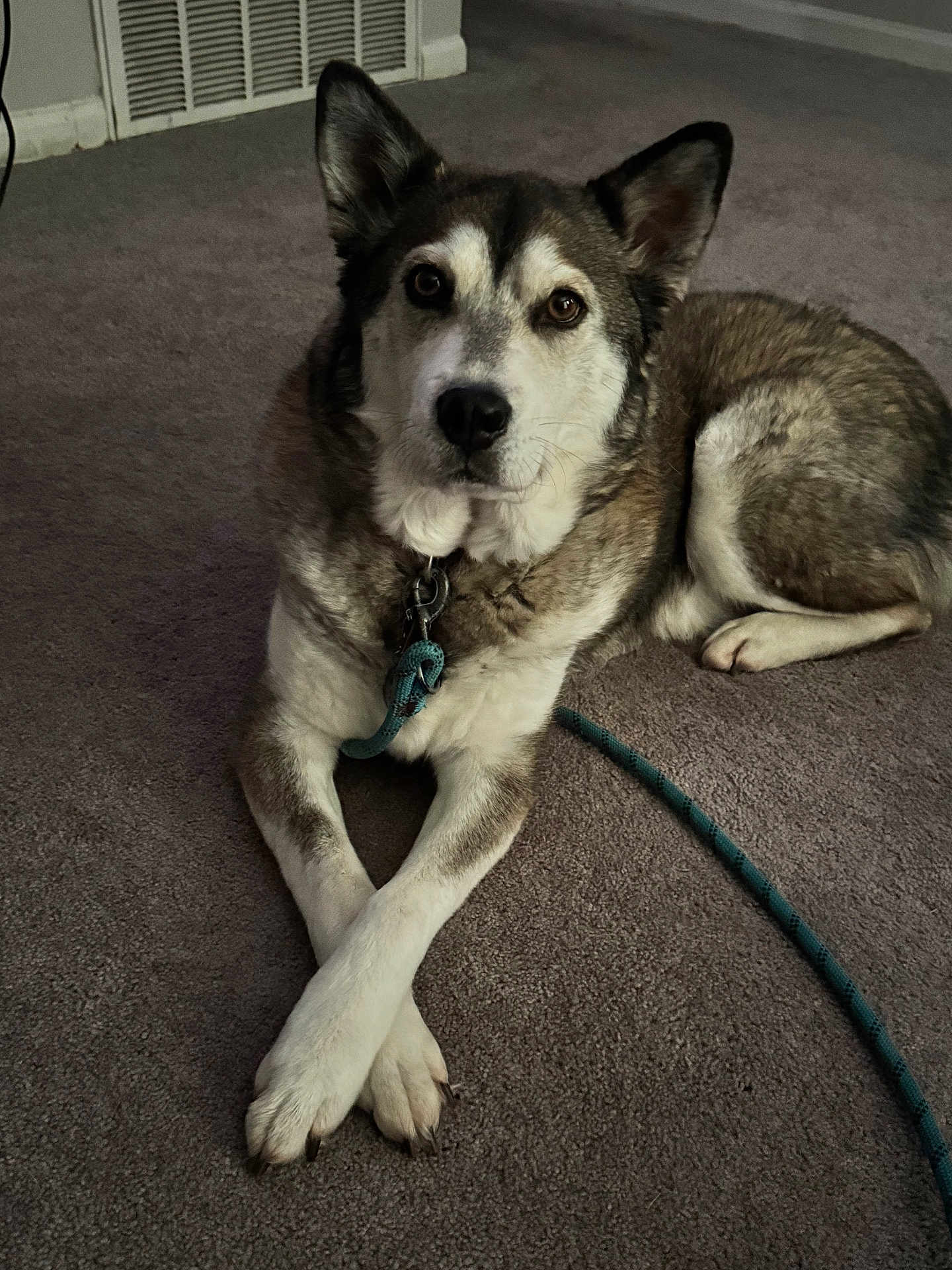 Ares