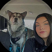 Ares is registered to the contest to win money with this photo: dog, woman, car_interior, seat, harness, pet, portrait, black_hair, animal, face, head, seatbelt, leisure, travel, companion, furry, domestic_animal, young_adult, casual, indoors