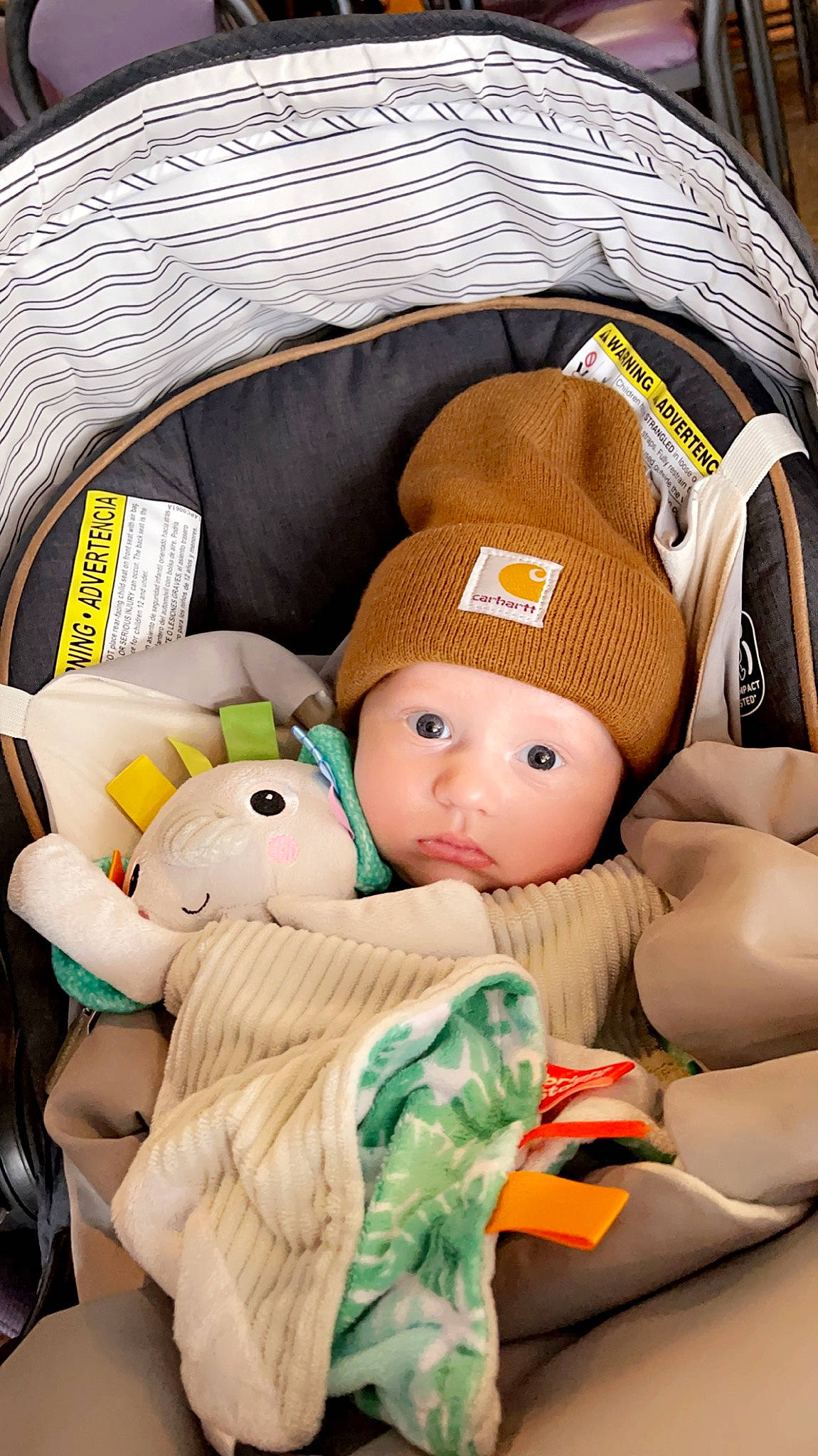 Emmerson joined the competition — help win amazing prizes! baby, baby_products, baby_sleeping, baby_toddler_clothing, bag, cap, car_seat, child, comfort, doll, fashion_accessory, fur, headgear, headwear, linens, pattern, person, plush, stuffed_toy, toddler
