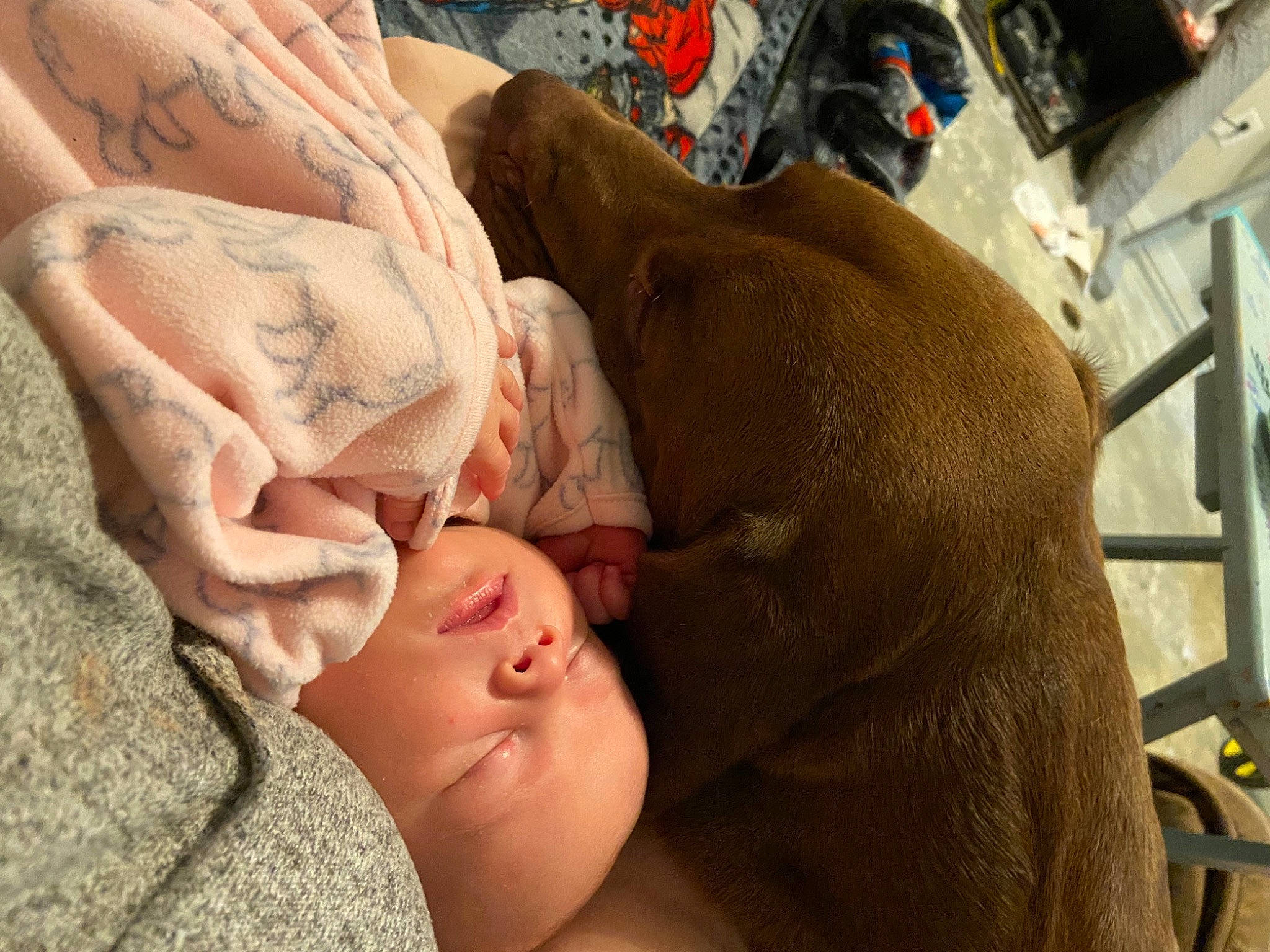 Persephoné joined the competition — help win amazing prizes! abdomen, baby, barechested, chest, child, comfort, fawn, flesh, fur, gesture, hat, human_leg, linens, nail, nap, person, sand, sunglasses, toddler, working_animal