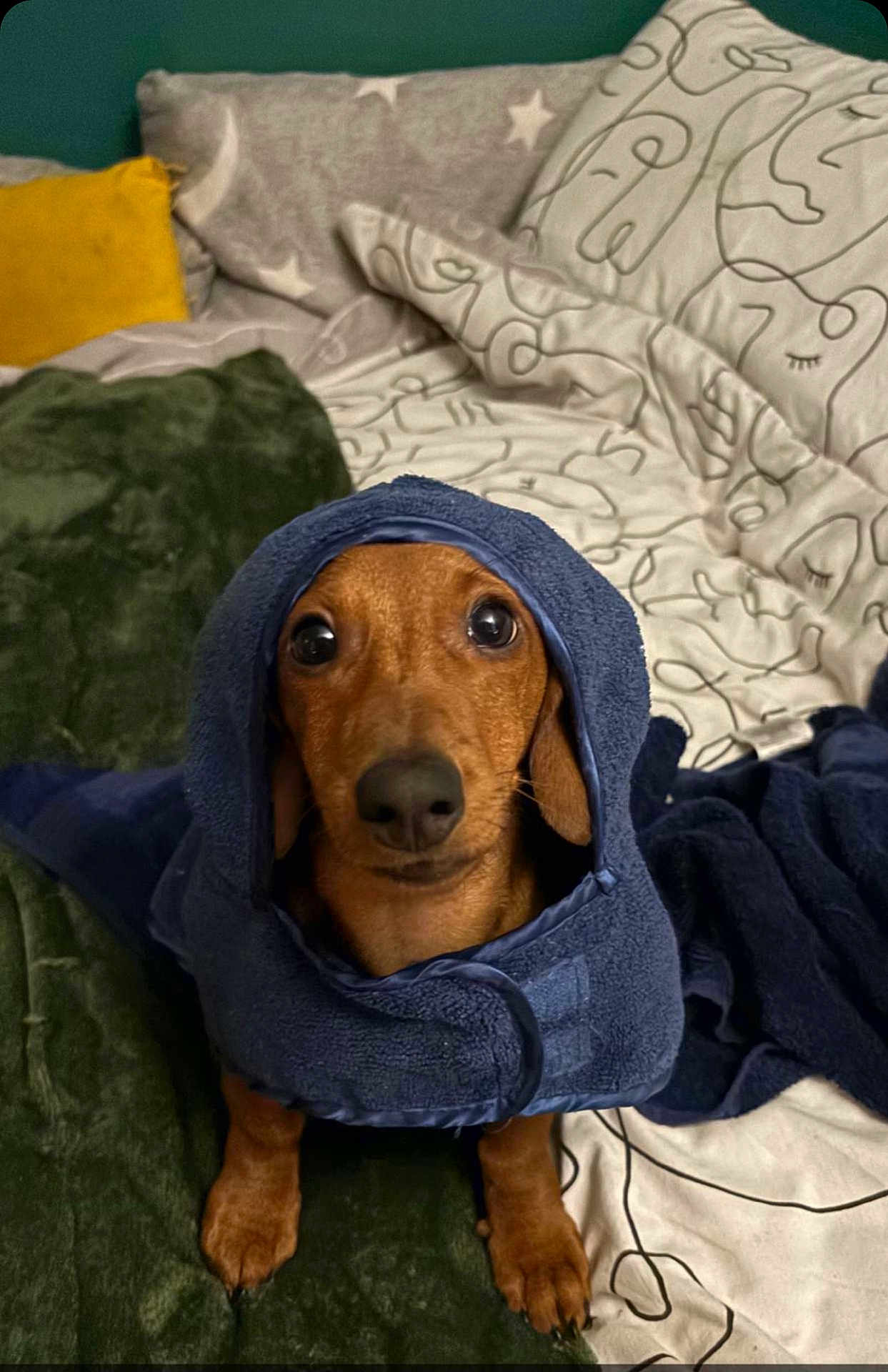 Bean
