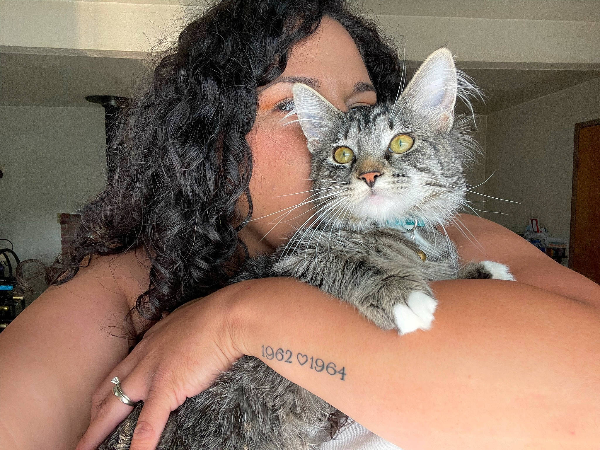 Camila joined the competition — help win amazing prizes! black_hair, carnivore, cat, comfort, ear, eye, eyelash, felidae, finger, gesture, grey, hair, hand, iris, nail, shoulder, skin, small_to_medium_sized_cats, thigh, whiskers