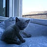 Boudest participe au concours pour gagner de l'argent avec cette photo :