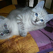 Boudest participe au concours pour gagner de l'argent avec cette photo :