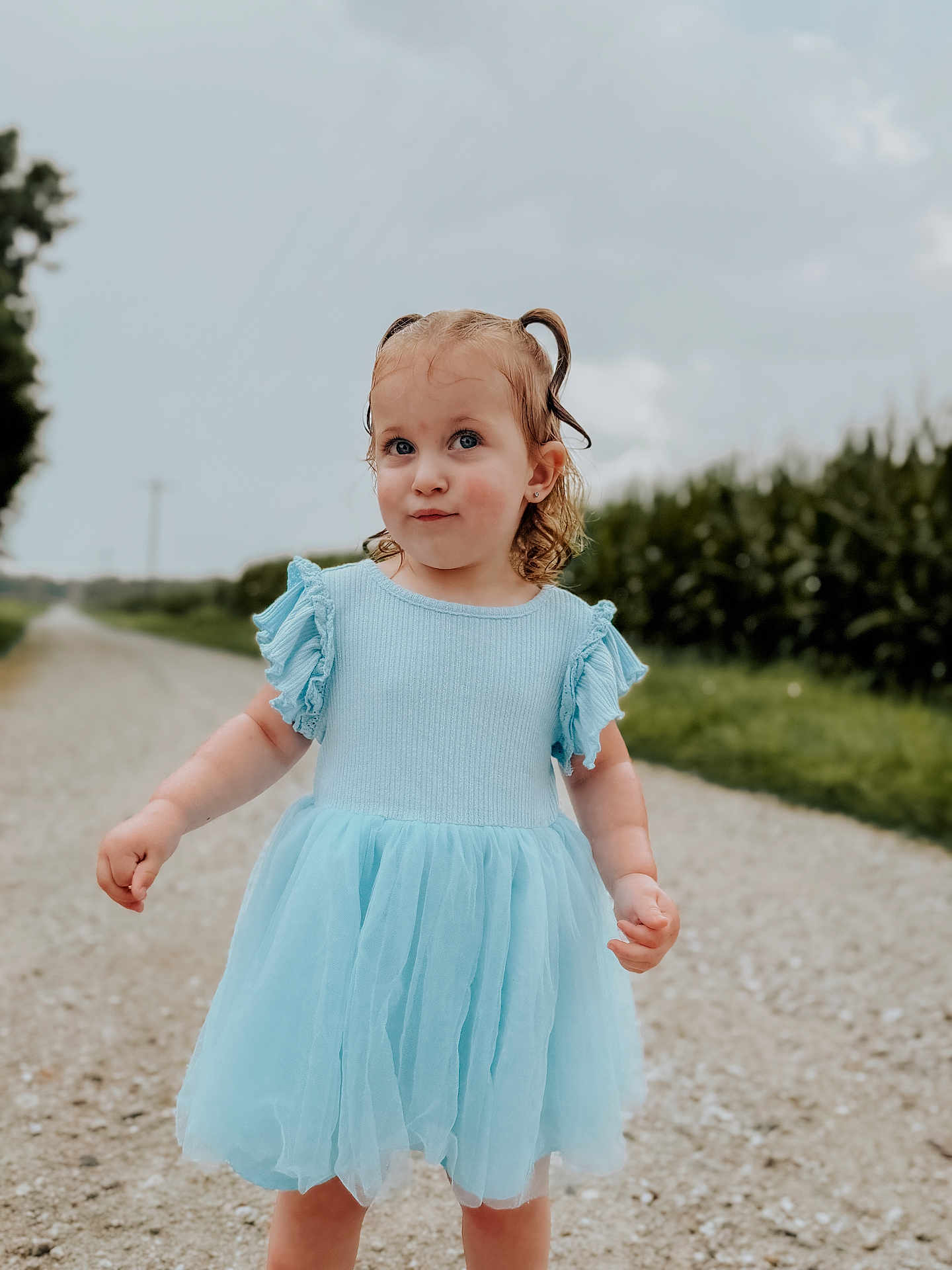 Oaklynne is registered to the contest to win money with this photo: child, toddler, girl, blue_dress, pigtails, curious_expression, outdoor, gravel_road, greenery, cloudy_sky, ruffled_sleeves, tulle_skirt, portrait, standing, nature, young_child, cute, fashion, daylight, people