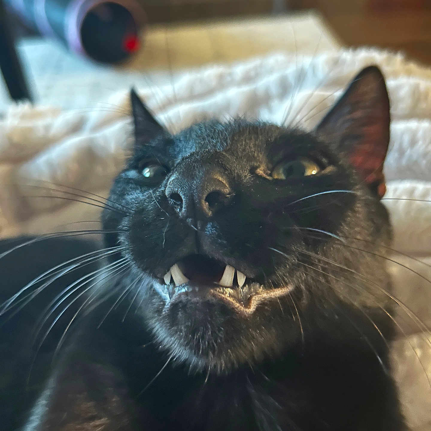 Nolan