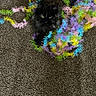 animal, black_cat, bright_colors, carpet, cat, colorful, cozy, decorative, feline, fluffy, fur, garland, indoor, looking_up, pet, playful, relaxed, soft, tangled, whiskers