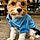Teddy