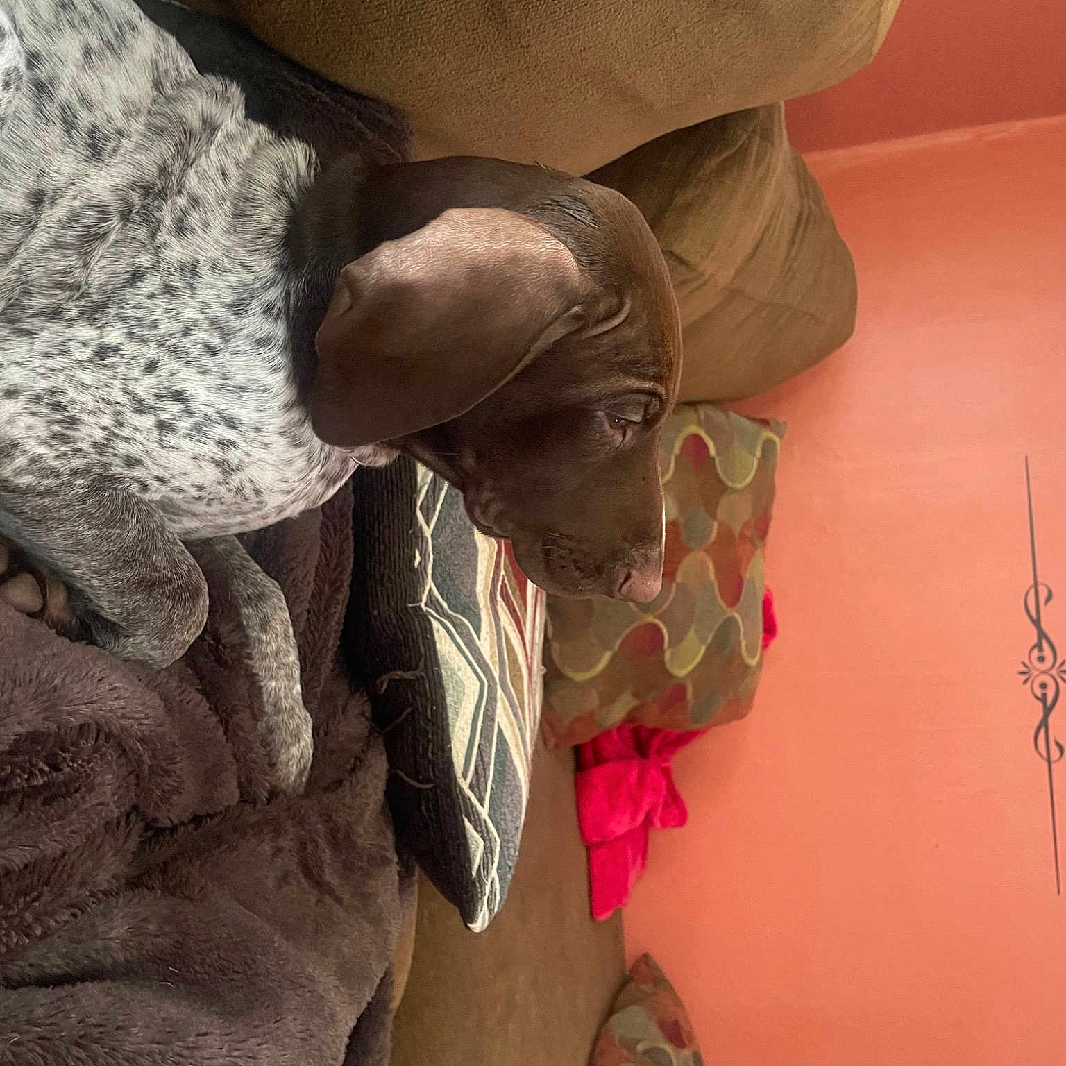 Ruger joined the competition — help win amazing prizes! army, art, elbow, eyewear, flesh, gesture, home_accessories, military, military_camouflage, military_uniform, pattern, plaster, room, sculpture, soldier, visual_arts, wood, wrinkle