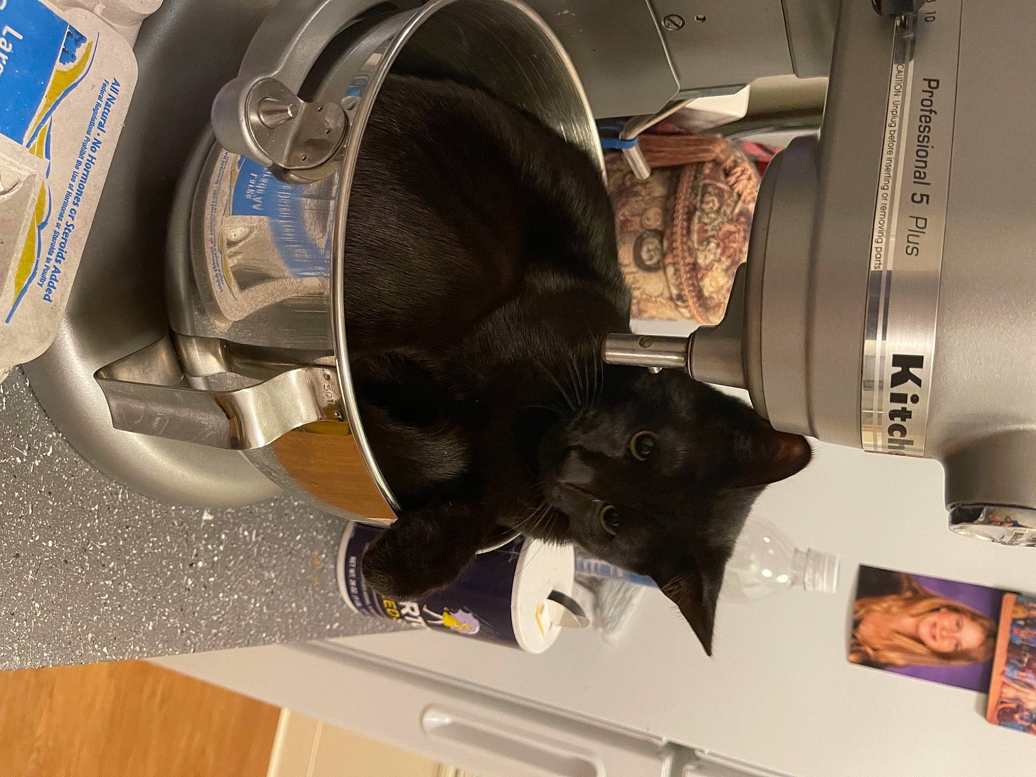 Rico G. Suave is registered to the contest to win money with this photo: audio_equipment, automotive_design, automotive_lighting, automotive_tire, automotive_wheel_system, bumper, carnivore, eyewear, felidae, fender, hubcap, machine, personal_protective_equipment, rim, small_to_medium_sized_cats, tire, tire_care, tread, vehicle_door, wheel