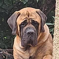 Florence K.