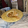 cat, orange_tabby, sleeping, curled_up, straw_hat, woven_hat, bed, blanket, bedroom, window, air_conditioner, curtains, indoor, pet, feline, relaxed, cozy, striped_fur, resting, domestic_animal