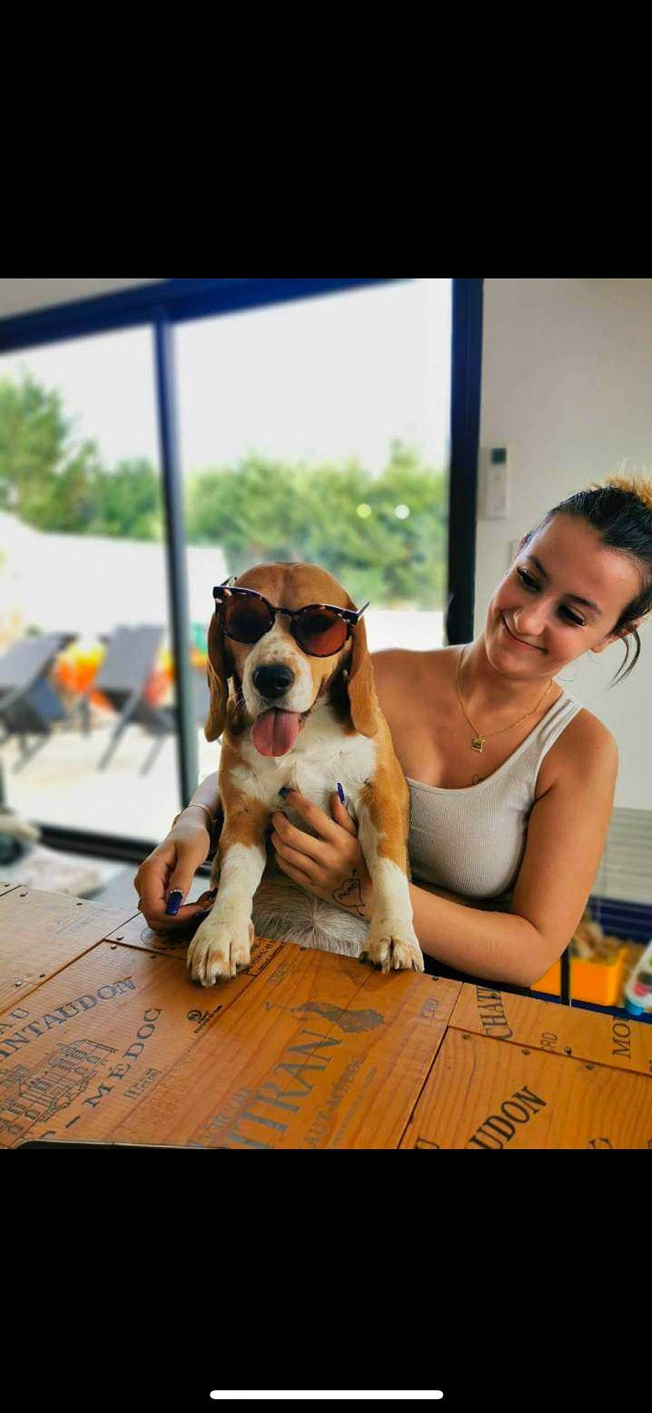 Prada participe au concours pour gagner de l'argent avec cette photo : canidae, carnivore, chair, companion_dog, dog, dog_breed, eyewear, fawn, flooring, fun, happy, leisure, sitting, sky, snout, sporting_group, sunglasses, table, window, wood