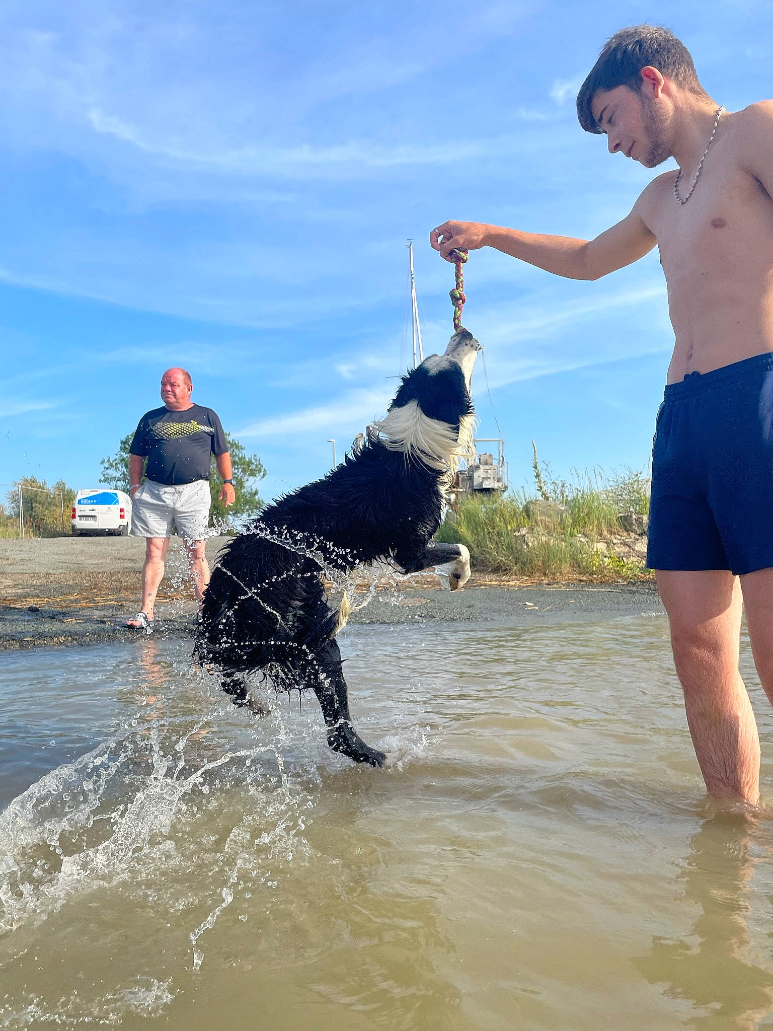Bounty participe au concours pour gagner de l'argent avec cette photo : beach, carnivore, cloud, dog, dog_breed, fun, happy, leisure, liquid, ocean, recreation, shorts, sky, smile, sporting_group, sports, trunks, water, wave, wind_wave