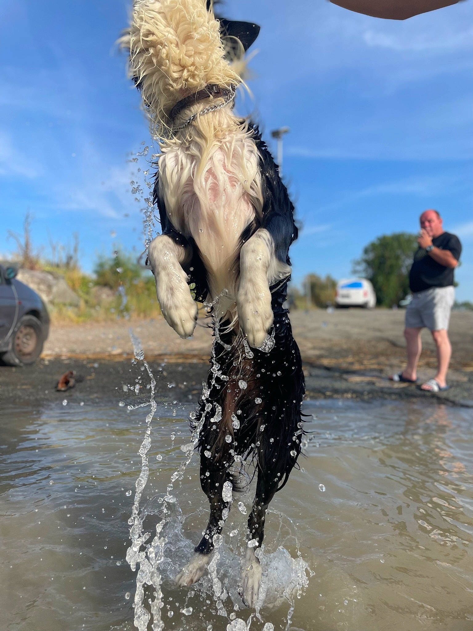 Bounty participe au concours pour gagner de l'argent avec cette photo : car, cloud, fun, happy, landscape, leisure, mud, people_in_nature, recreation, shorts, sky, soil, tree, water, wave, wind_wave