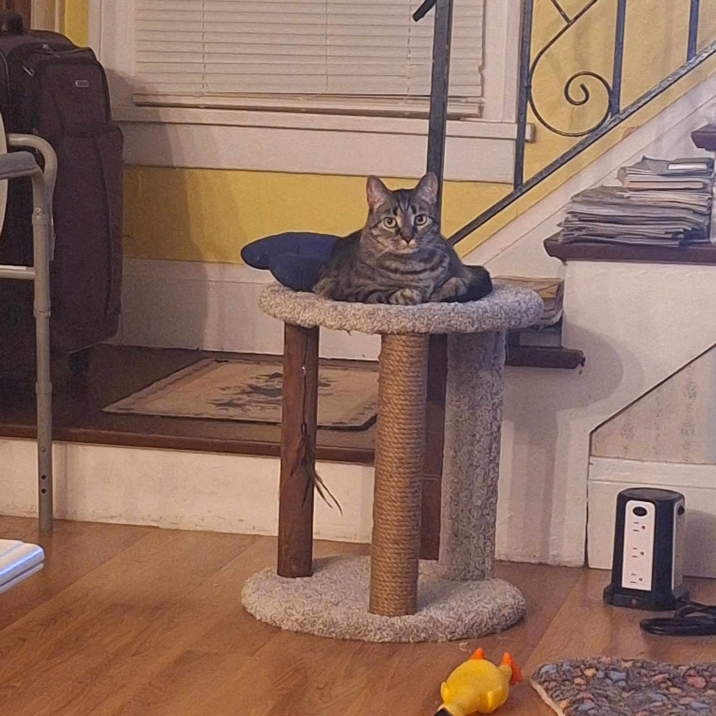 Meekah