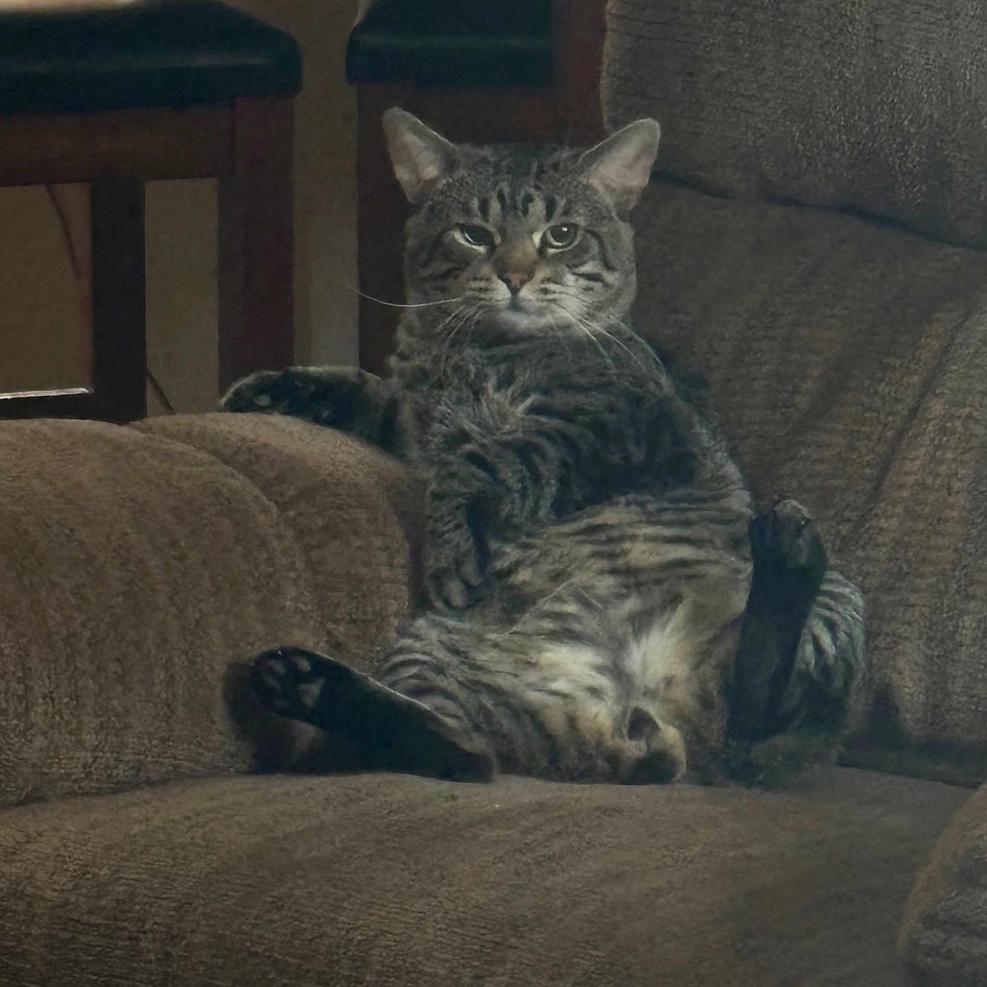 Bobcat Lebowski