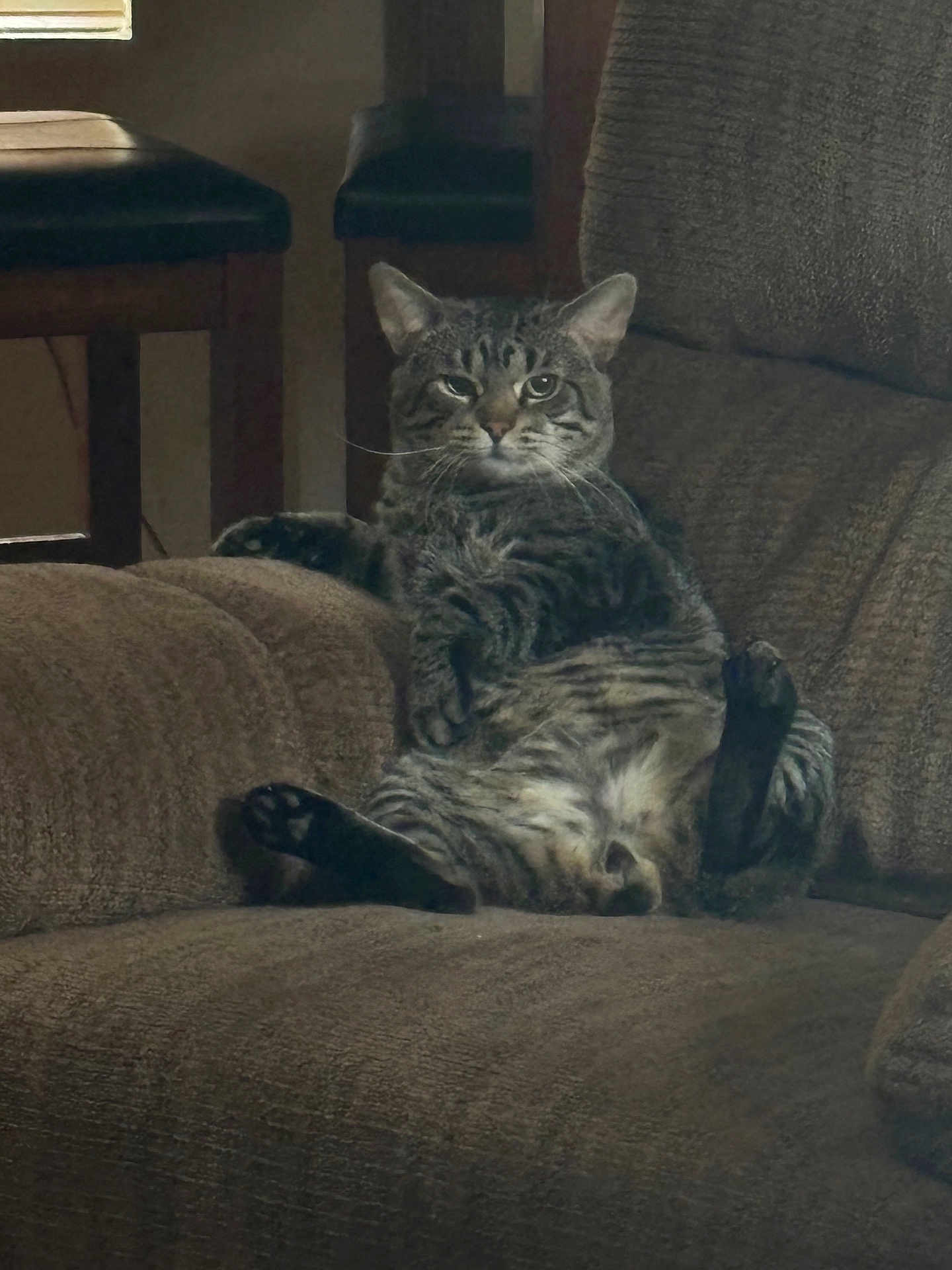 Bobcat Lebowski