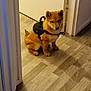 animal, brown_fur, canine, companion, cute, dog, domestic, doorway, flooring, harness, house, indoor, pet, puppy, shiba_inu, sitting, small_dog, wall, wood_floor, young_dog