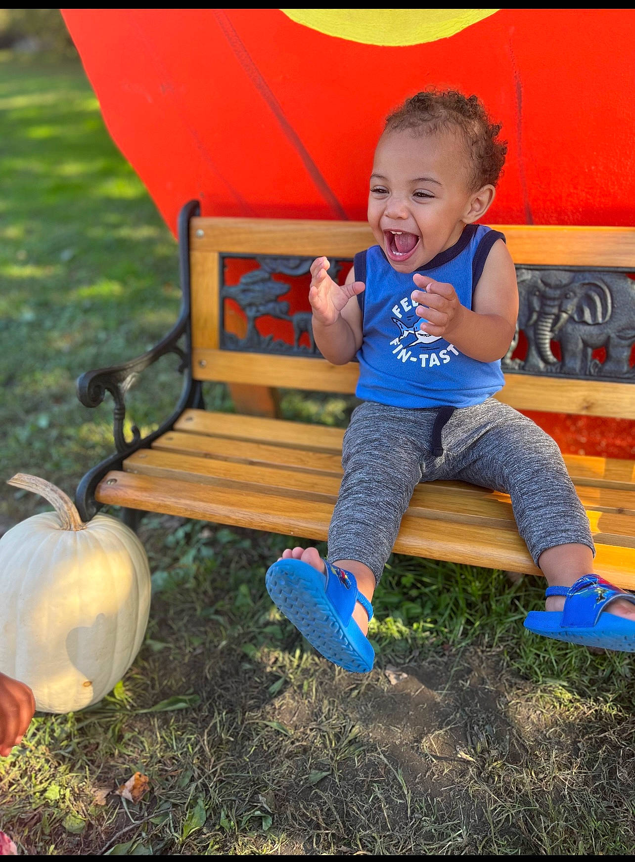 Kaiden joined the competition — help win amazing prizes! child, city, flash_photography, fun, grass, hand, happy, lawn, leaf, leisure, morning, outdoor_furniture, people_in_nature, person, recreation, shoe, shorts, sitting, smile, sunlight