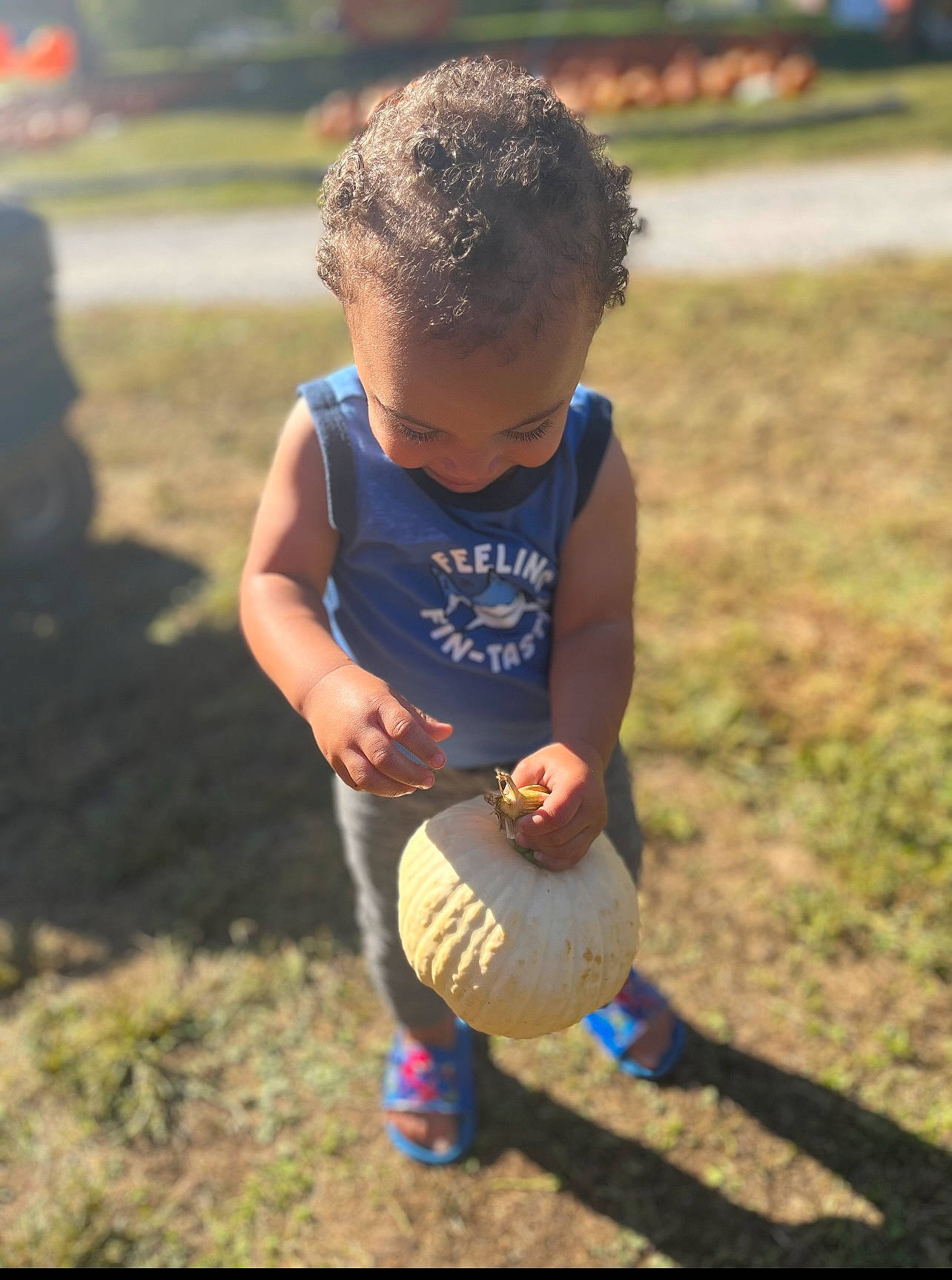 Kaiden joined the competition — help win amazing prizes! ball, child, electric_blue, football, fun, grass, happy, knee, leisure, people_in_nature, person, player, recreation, shorts, sneakers, soccer_ball, soil, sports_equipment, t_shirt, toddler