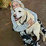 Rory is registered to the contest to win money with this photo: person, dog, hugging, pumpkin, hay_bale, autumn, fall_decor, smiling, outdoor, brick_floor, casual_clothing, white_hair, black_flower_pants, white_shoes, large_dog, seasonal, festive, happy_pet, warmth, celebration
