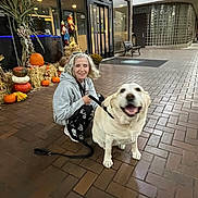 Rory is registered to the contest to win money with this photo: woman, dog, labrador, pumpkin, fall, autumn, sidewalk, brick_pavement, building, glass_door, bench, leash, smile, happy, outdoor, decoration, harvest, casual_clothing, gray_hair, evening