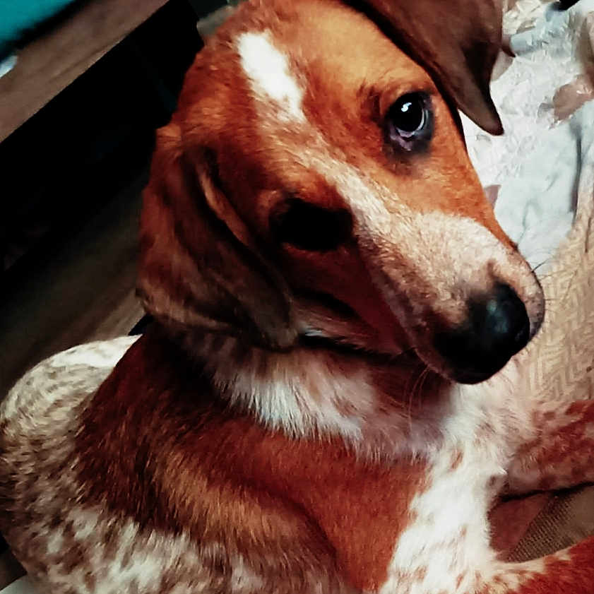Cooper