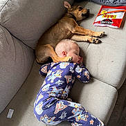 Jaxon joined the competition — help win amazing prizes! child, toddler, dog, sleeping, couch, pajamas, paw, snack, doritos, pet, indoor, relaxation, nap, cozy, comfort, rest, furniture, animal, home, cute
