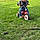 Jaxon