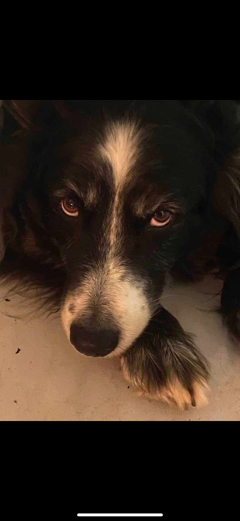 Murphy
