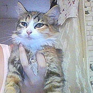 Minnie participe au concours pour gagner de l'argent avec cette photo :