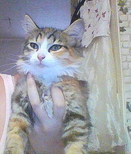 Minnie