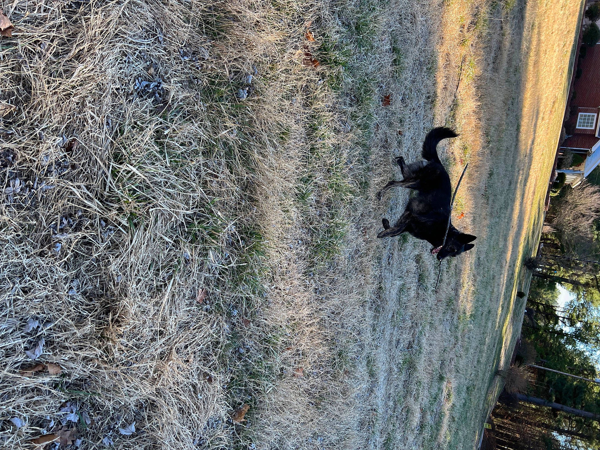 Sasha Grace is registered to the contest to win money with this photo: adventure, automotive_tire, bedrock, branch, formation, freezing, geology, grass, landscape, plant, reflection, road_surface, rock, shadow, soil, tree, trunk, water, winter, wood