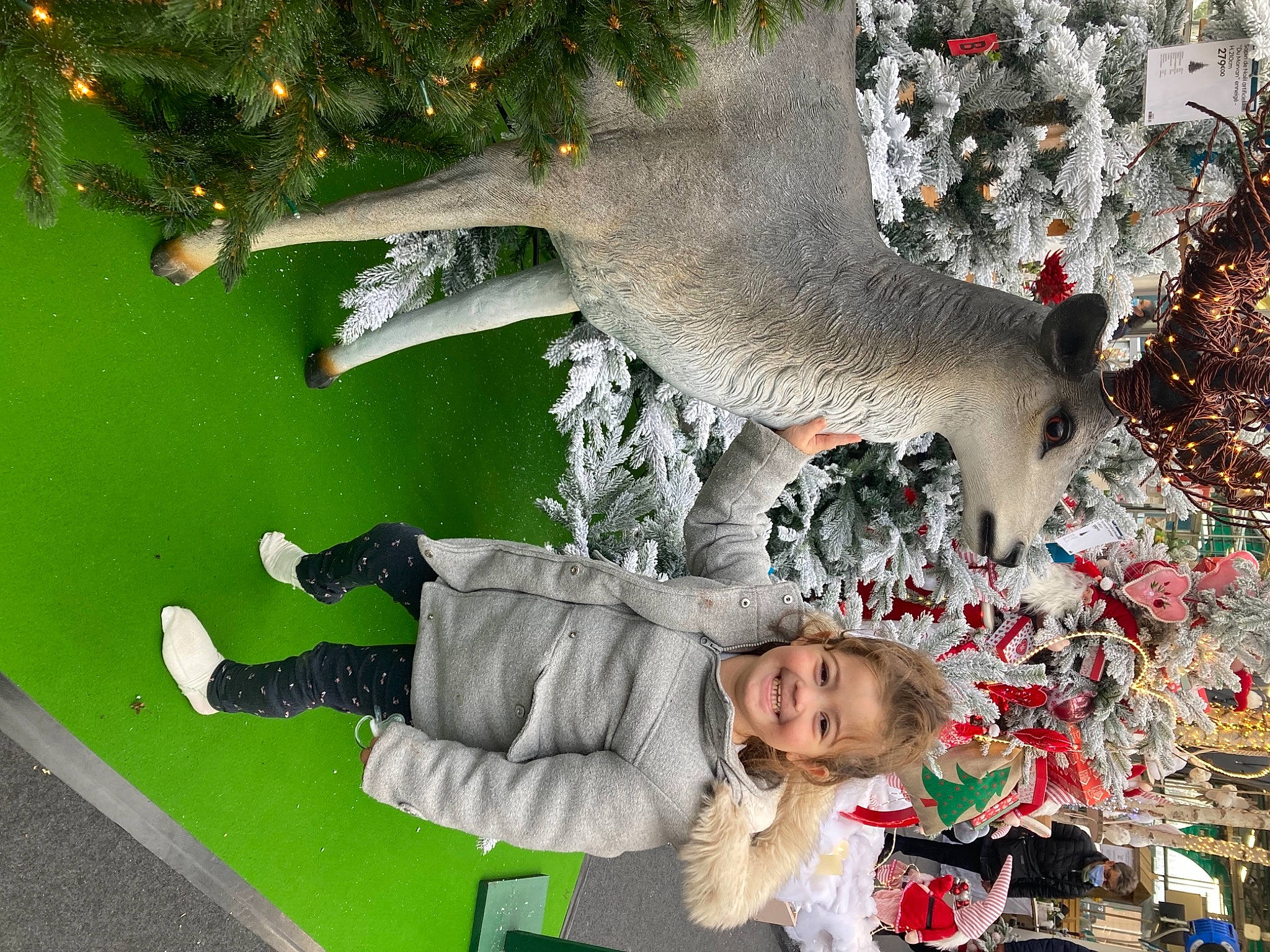 Julia a rejoint le concours — aidez-le/la à gagner de superbes lots ! christmas, christmas_decoration, christmas_eve, christmas_ornament, event, felidae, fur, grass, green, happy, holiday, joy, leisure, organism, person, photograph, plant, tail, tree, whiskers