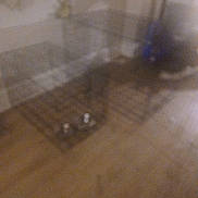 Kiko joined the competition — help win amazing prizes! blurry, dog, mat, floor, wall, bowls, indoor, wooden_floor, pet, feeding_area, decorations, furniture, home, animal, resting, indistinct, low_light, blurred, domestic, quiet