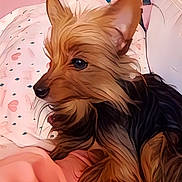Lilly is registered to the contest to win money with this photo: bed, blanket, close_up, companion, cozy, cute, dog, domestic, ears, fur, indoor, pet, pillow, pink, portrait, resting, snout, stylized, whiskers, yorkshire_terrier