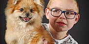 Arya a rejoint le concours — aidez-le/la à gagner de superbes lots ! boy, child, pet, dog, pomeranian, fluffy, fur, glasses, portrait, studio, grey_background, smile, holding, sitting, t_shirt, jeans, happy, cute, hands, indoor