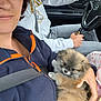 person, puppy, dog, car_interior, seatbelt, steering_wheel, driver, lap, hand, jacket, zipper, fabric, toy, window, dashboard, close_up, travel, cute, fluffy, portrait