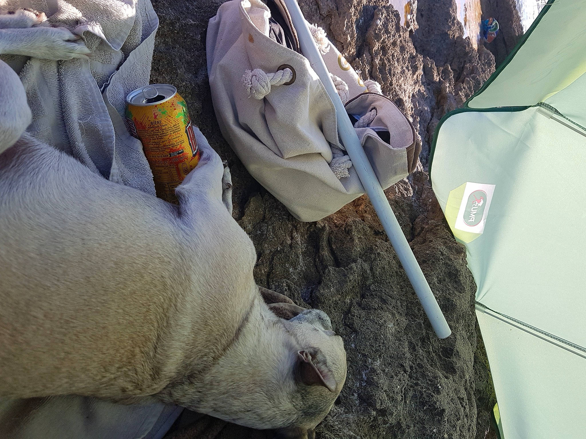 Jerry a rejoint le concours — aidez-le/la à gagner de superbes lots ! art, auto_part, automotive_exterior, automotive_lighting, automotive_tire, automotive_window_part, bag, glass, glove, hood, human_leg, linens, motor_vehicle, safety_glove, vehicle_door, visual_arts, windshield, wood, wool, wrist