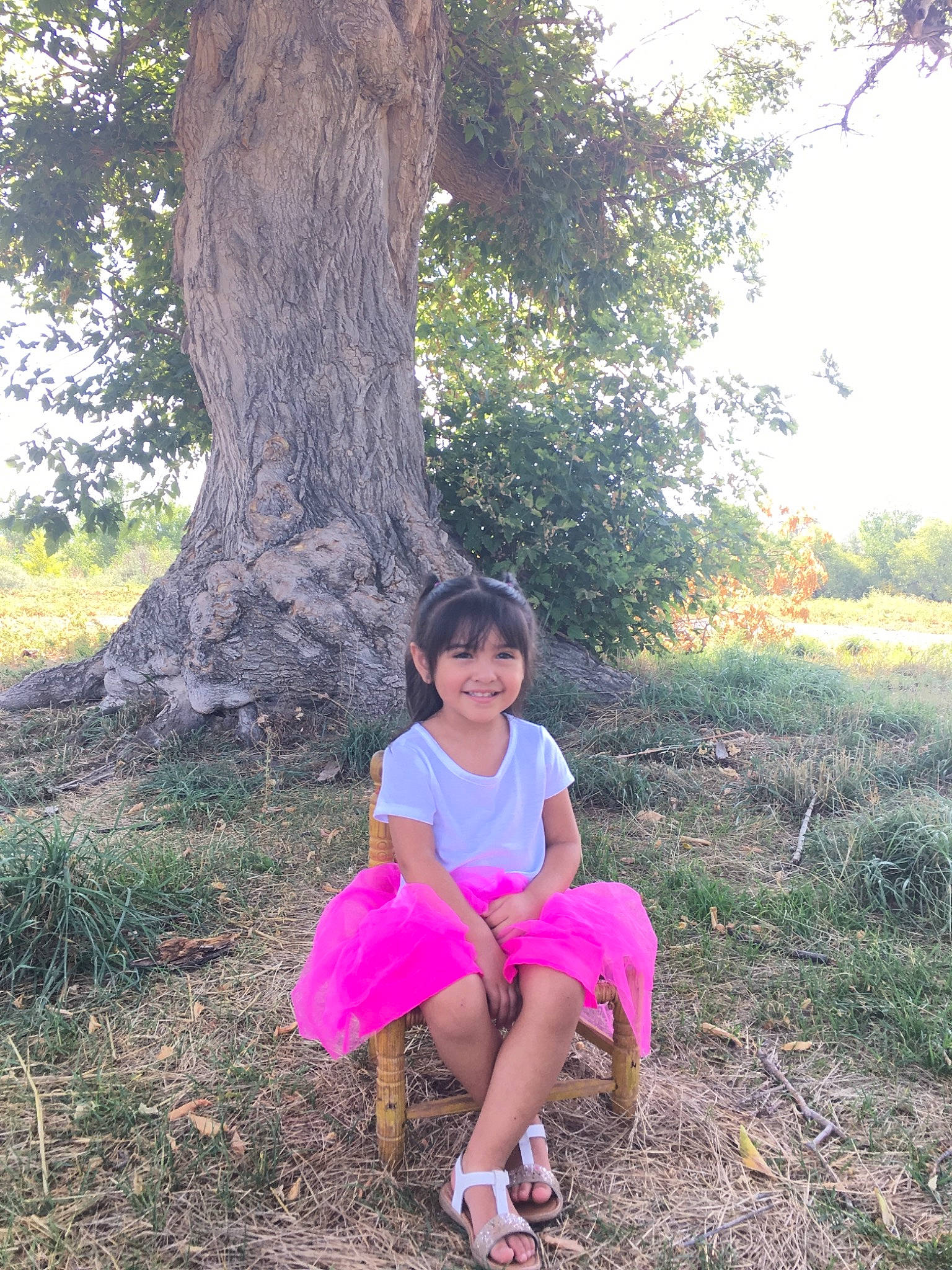 Annika joined the competition — help win amazing prizes! adaptation, botany, child, dress, fun, grass, happy, joy, leaf, leg, people_in_nature, person, photography, pink, plant, sitting, smile, summer, tree, trunk