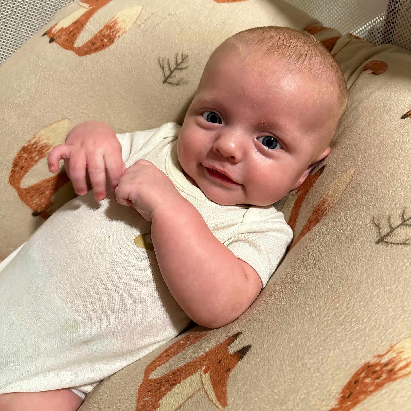 Silas is registered to the contest to win money with this photo: baby, blanket, bodypart, clothing, cushion, face, finger, furniture, hand, happy, head, homedecor, newborn, person, photography, portrait, quilt, sitting, smile, t_shirt