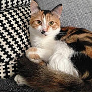 Ambre participe au concours pour gagner de l'argent avec cette photo :