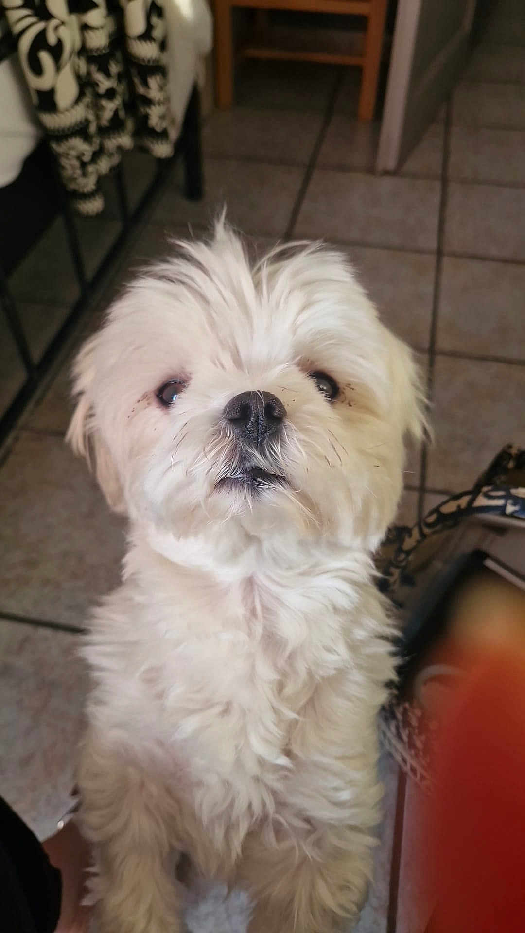 Raffy