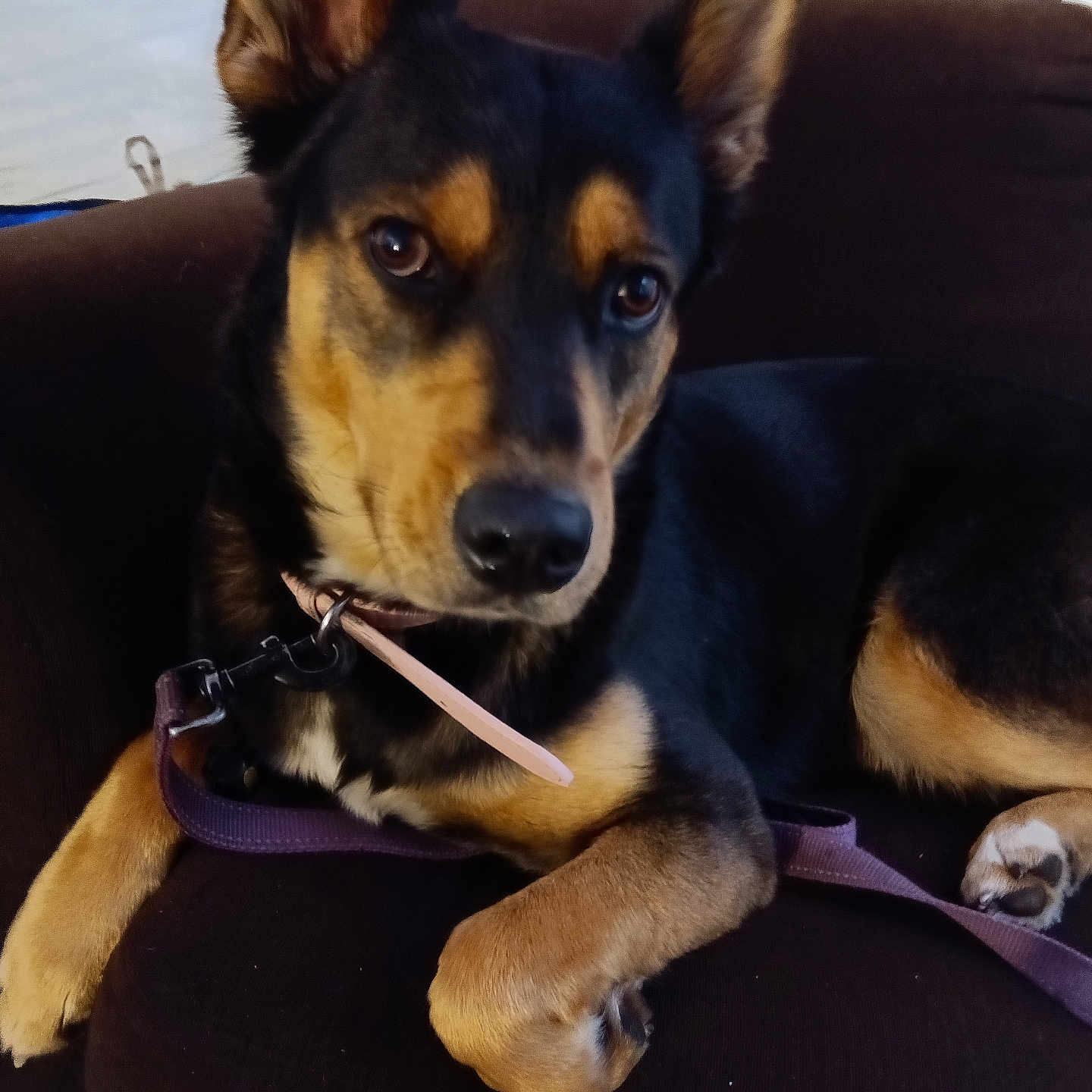 Coco
