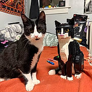 Mae is registered to the contest to win money with this photo: cat, lego_cat, tuxedo_cat, pet, indoor, bed, blanket, whiskers, paws, ears, toy, plastic, portrait, window, tapestry, markers, furniture, cozy, black_and_white, comparison