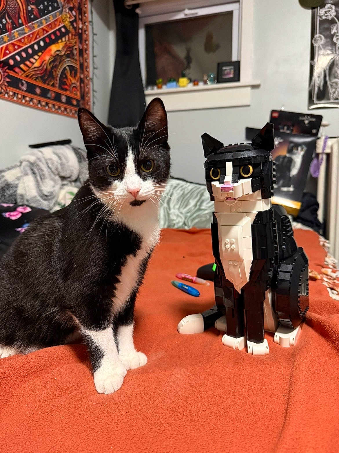 Mae is registered to the contest to win money with this photo: cat, lego_cat, tuxedo_cat, pet, indoor, bed, blanket, whiskers, paws, ears, toy, plastic, portrait, window, tapestry, markers, furniture, cozy, black_and_white, comparison