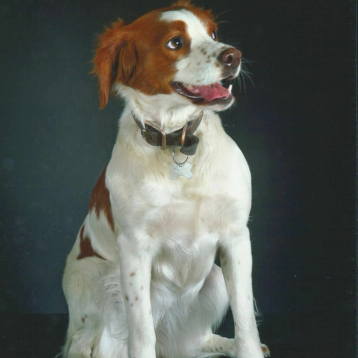 Roxanne