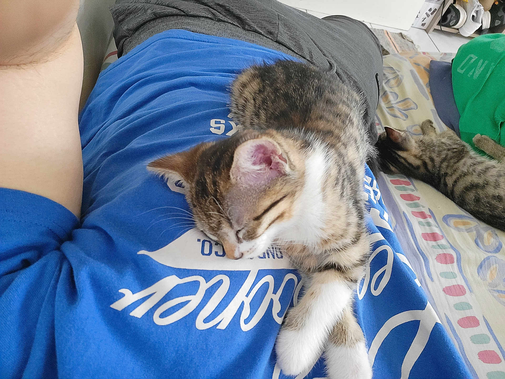 Miette